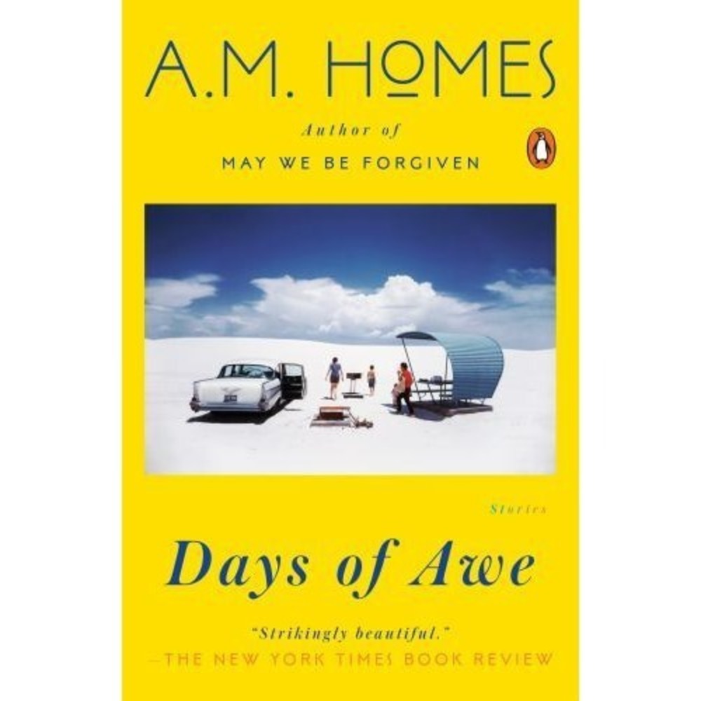 Days of Awe: Stories by Homes, A. M. Short Stories Collection Family Life